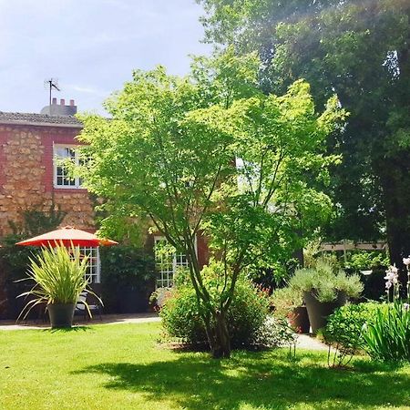 Bed & Breakfast La Clepsydre Fontenay-aux-Roses Luaran gambar